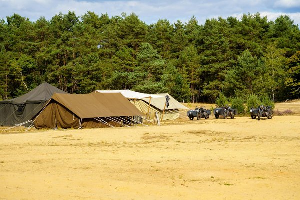 Où peut-on séjourner en Suède pour des vacances avec des cours de cuisine et des visites de réserves naturelles?